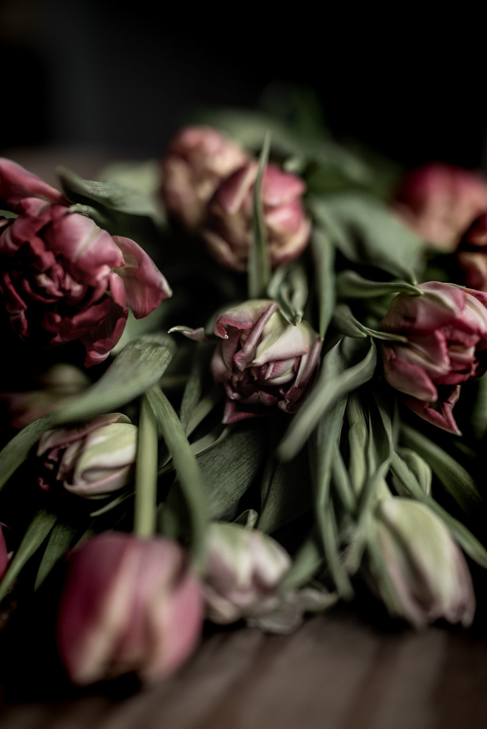 Fine Art kaart | Roze tulpen